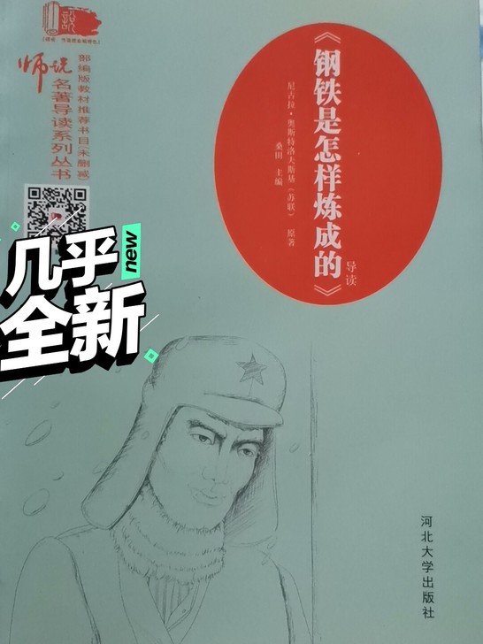 《钢铁是怎样炼成的》