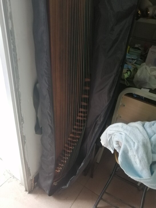 卖古筝，原价两千多，卖七百，内江，自提，面...