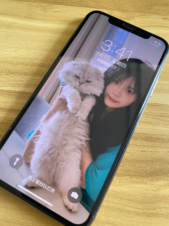 苹果iPhoneXs全原装 Xs256G顺丰