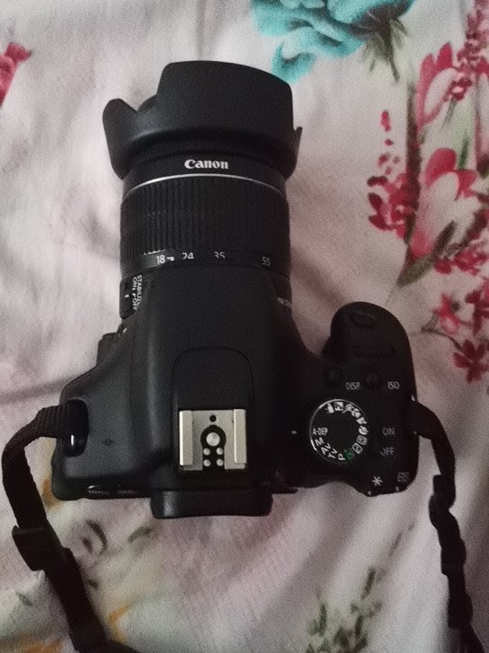 佳能D600定义九五成新   快门3  4...