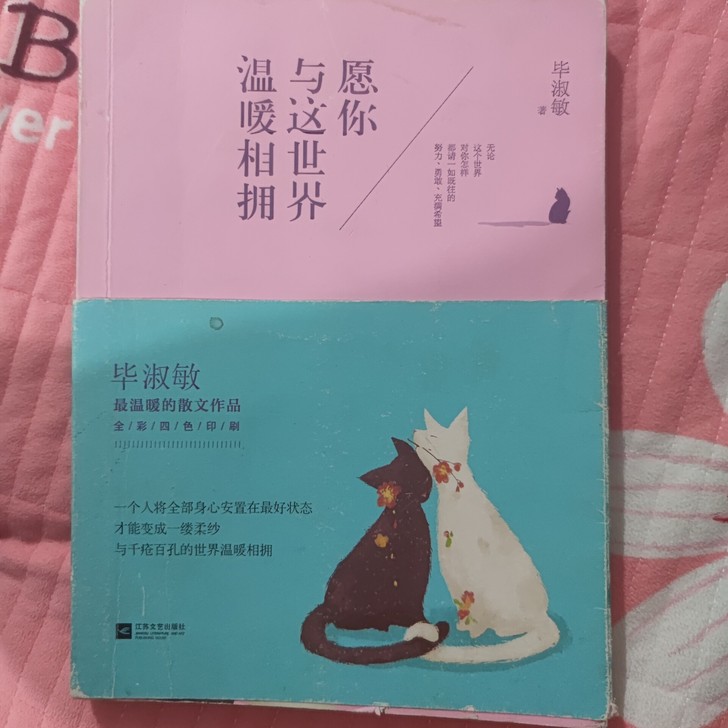 毕淑敏小说