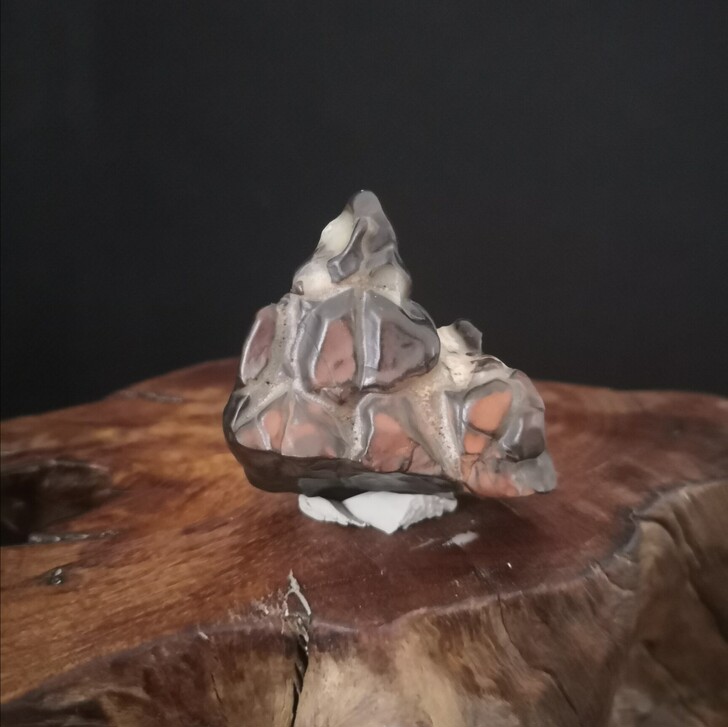 戈壁象形石，牙石