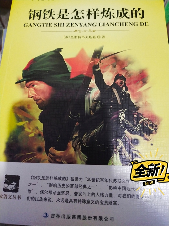 新旧程度  书籍《钢铁是怎样炼成的》全新阿