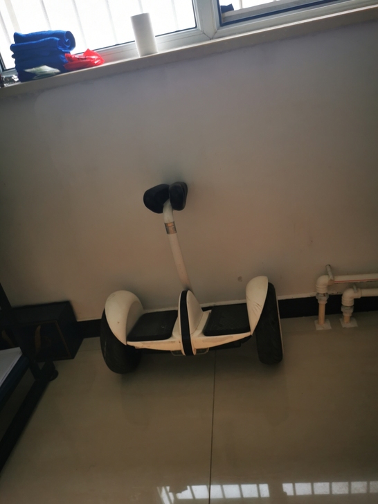 小米九号平衡车，孩子不玩了，带充电器。北京...