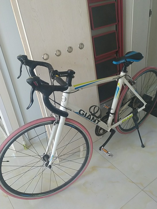 捷安特公路车 珍珠白荧光漆