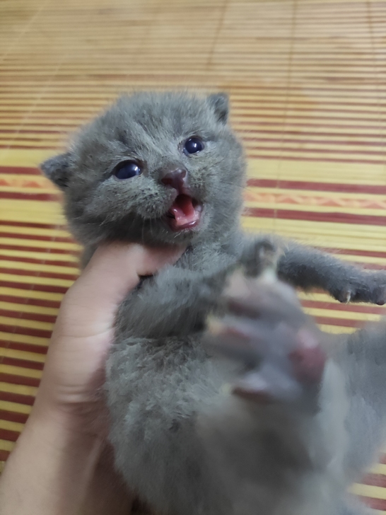 收台 Meizu/魅族 16th