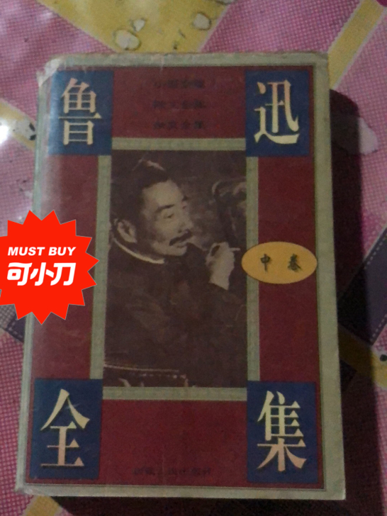 鲁迅全集中卷