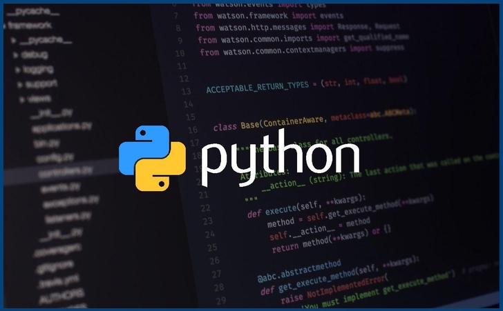 程序开发 python