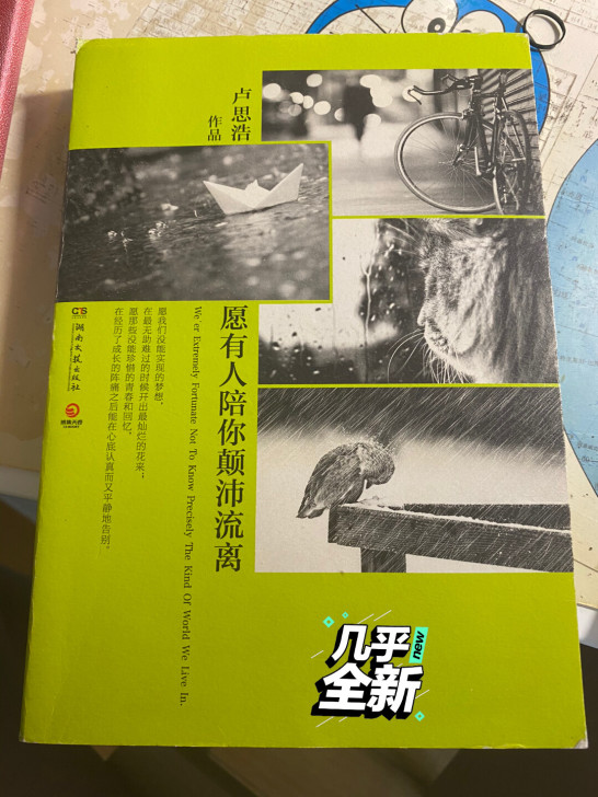 青春文学，愿有人陪你颠沛流离，卢思浩作品。...