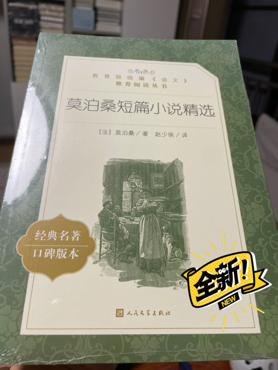 莫泊桑小说选