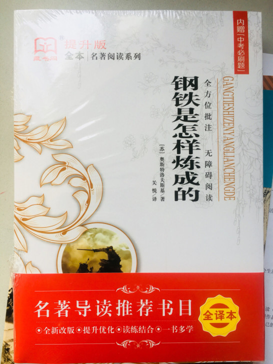 《钢铁是怎样炼成的》名著全新