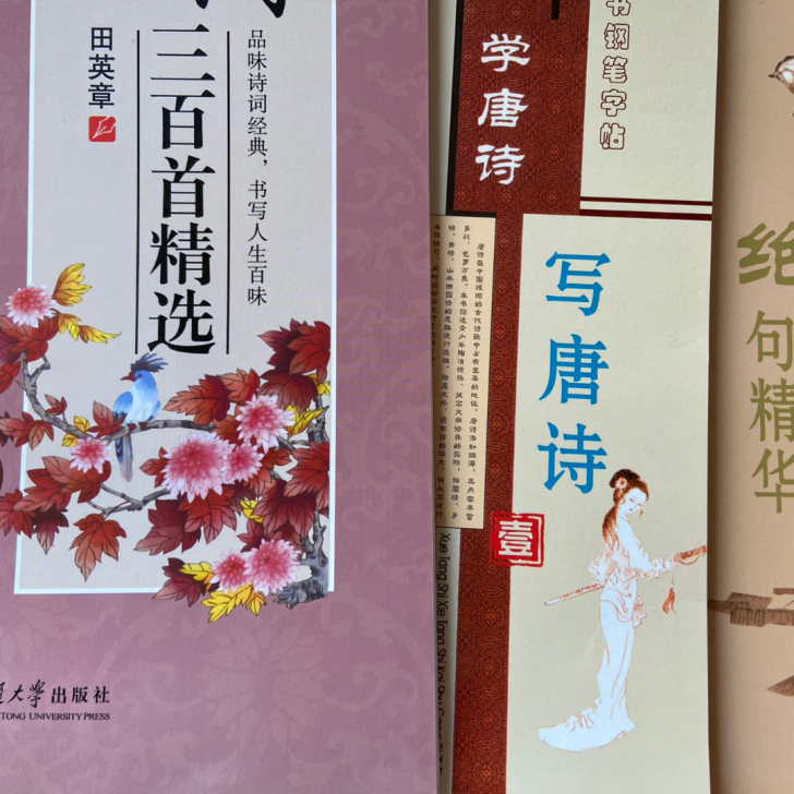 写完的字帖，二手字帖。三百首的正反37面；...