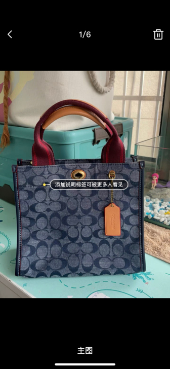 蔻驰帆布包 小号 原价400加