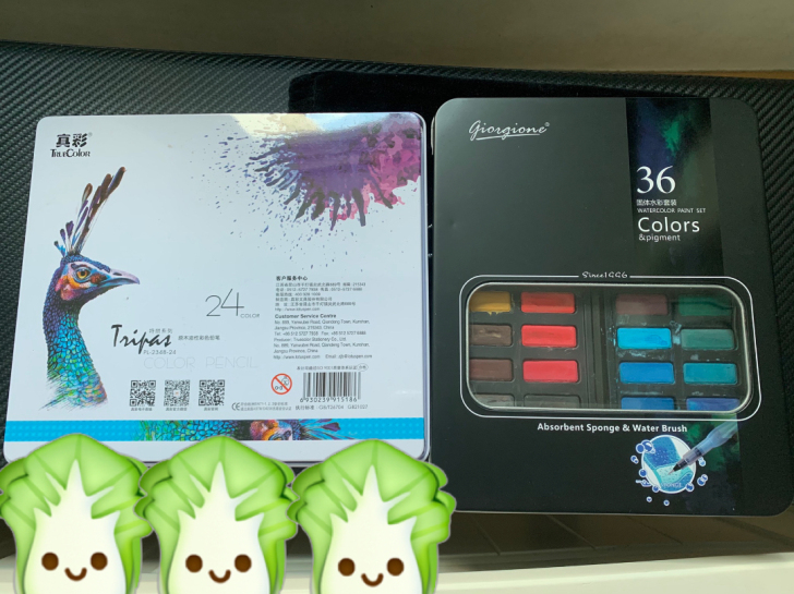 乔尔乔内固体水彩（15r）