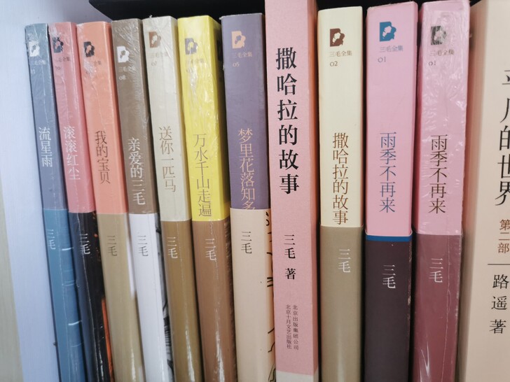 三毛的《雨季不再来》和《撒哈拉沙漠》  没...