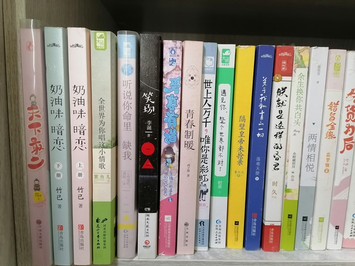 言情小说,如若有意者,请私聊谢谢,可详细发...