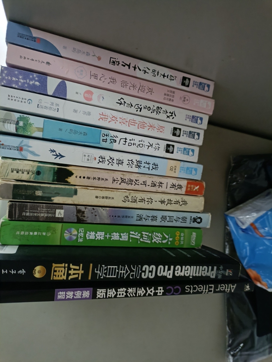 毕业出言情小说，工具书，打包便宜！