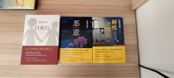 东野圭吾，推理小说，全新，正版。白夜行，解...