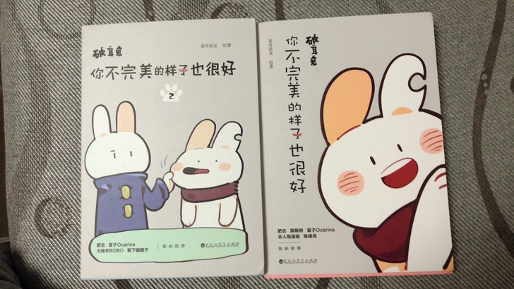 全新包邮 破耳兔 你不完美的样子也很好1/...