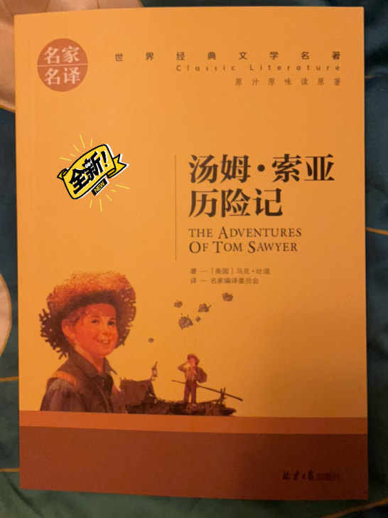《汤姆##amp；middot；索亚历险记》