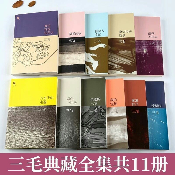三毛作品全集11册全套珍藏版撒哈拉的故事现...