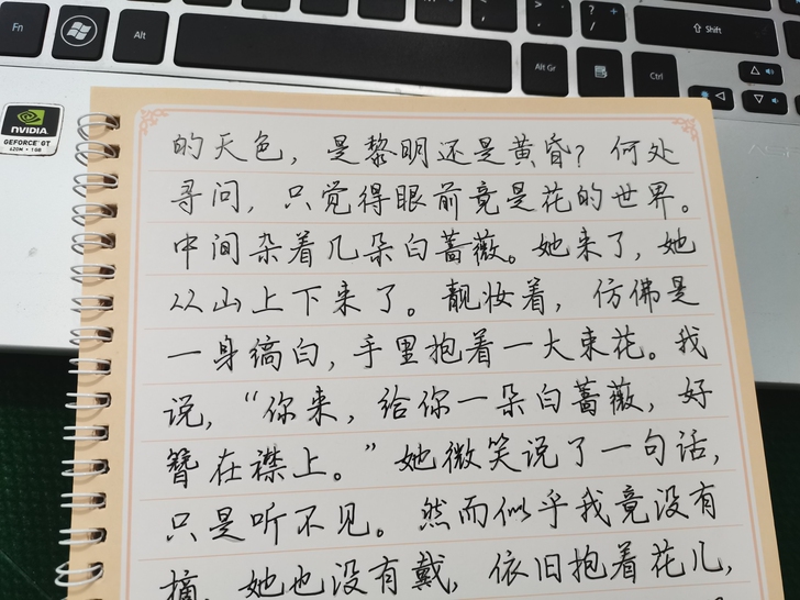 代写字帖，代写笔记。