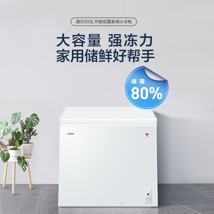 Haier/海尔 冷柜