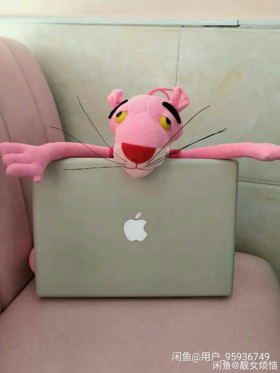女生个人闲置苹果 Mac Book p...