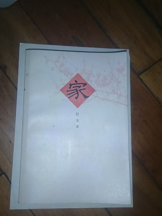 家 巴金著 激流三部曲之一 人民文学出版社...