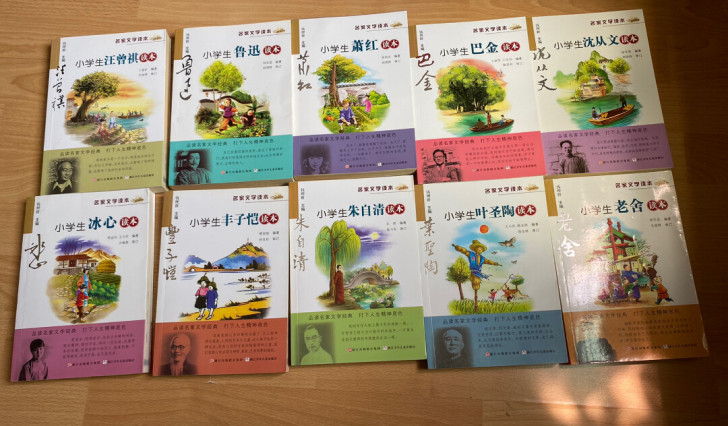 小学生名家文学读本 冰心 丰子恺 鲁迅 ...