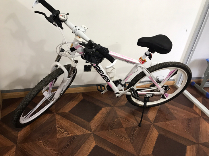 永久自行车，女儿上学用不到，低价处理，自体