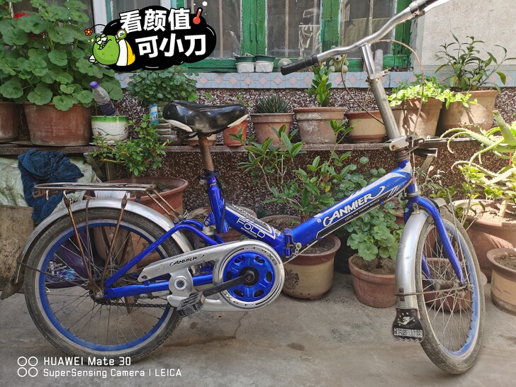 小小自行车一辆