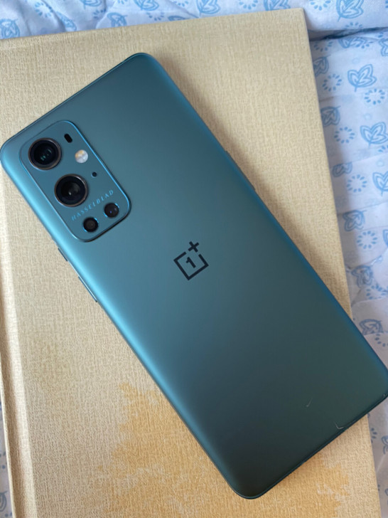 只出芝麻分750以上的，谢谢。一加9Pro...
