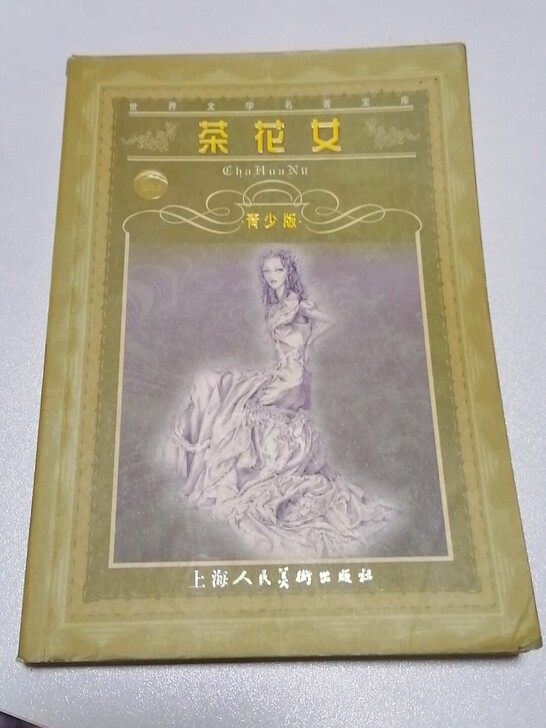 名著 小学生课外书《茶花女》赠送