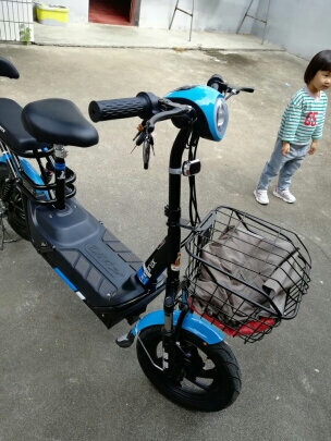 凤凰电动车出售