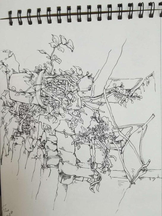 代画各种素描，  速写，