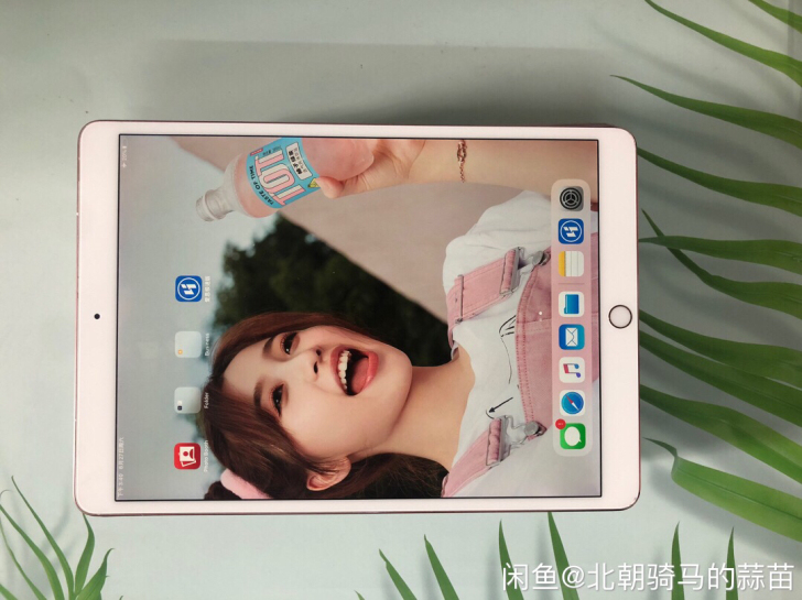 ipad.pro二代10.5Wi-Fi版 ...