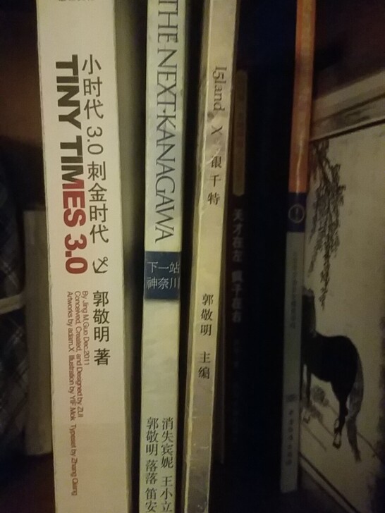 8本郭敬明，小时代3.0刺金时代。小时代2...