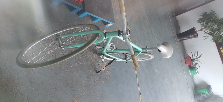 死飞，买回来没骑多久，一直在闲置，后轮胎漏...