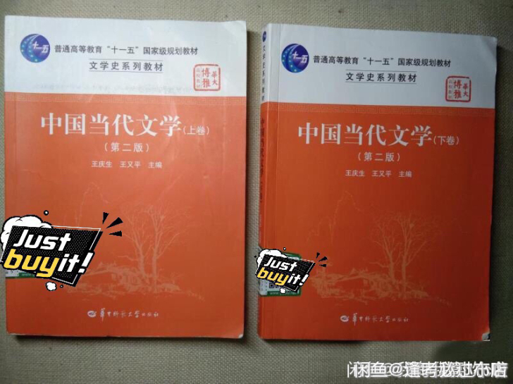 二手包邮正版 中国当代文学王庆生 第二版 ...