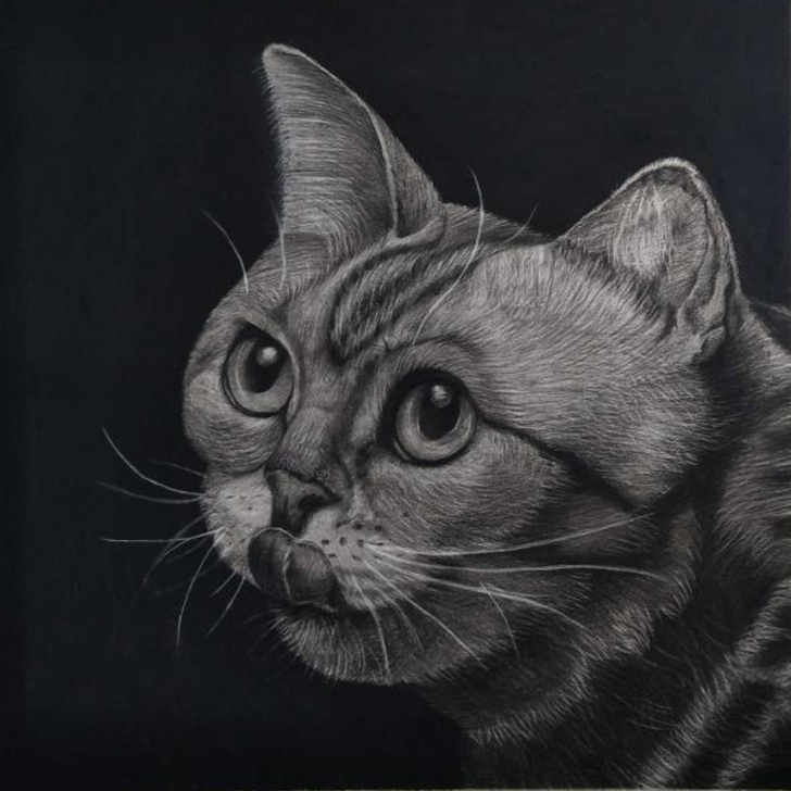 素描画 尺寸是四开纸裁的正方形