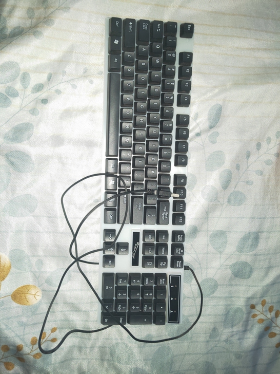 有线键盘 游戏键盘 自己有其他键盘