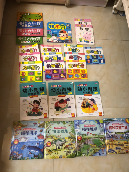 幼儿早教书籍，逻辑思维，数学、全面开发，全新