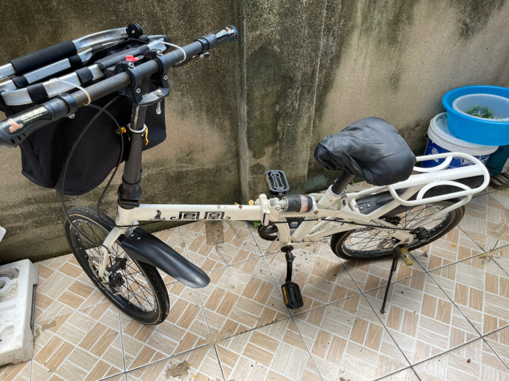 凤凰 折叠自行车