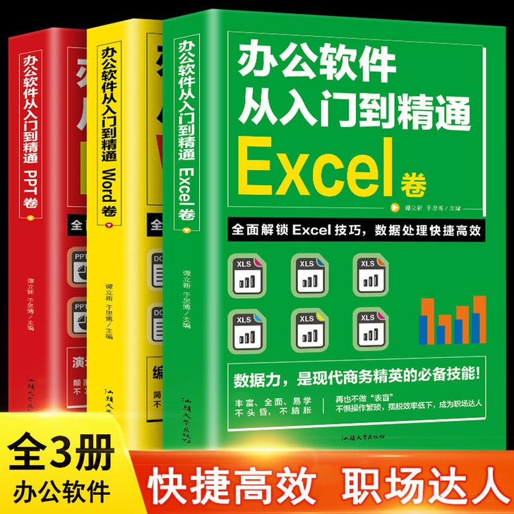 从入门到精通excel Word PPT办...