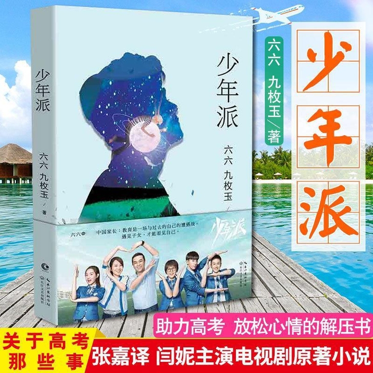 少年派 六六著 张嘉译闫妮主演电视剧原著小...