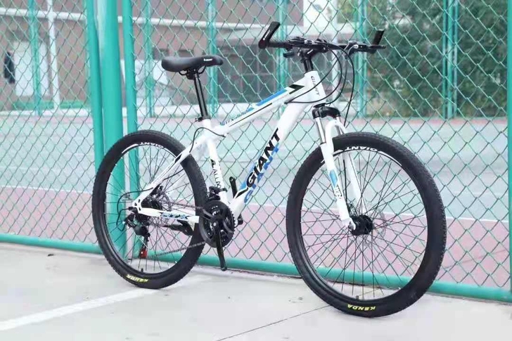 正品捷安特山地自行车铝合金油碟二手单车碳钢...