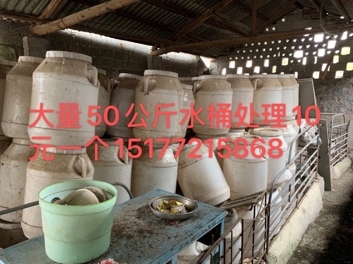 50公斤水桶，现在便宜处理10元一个