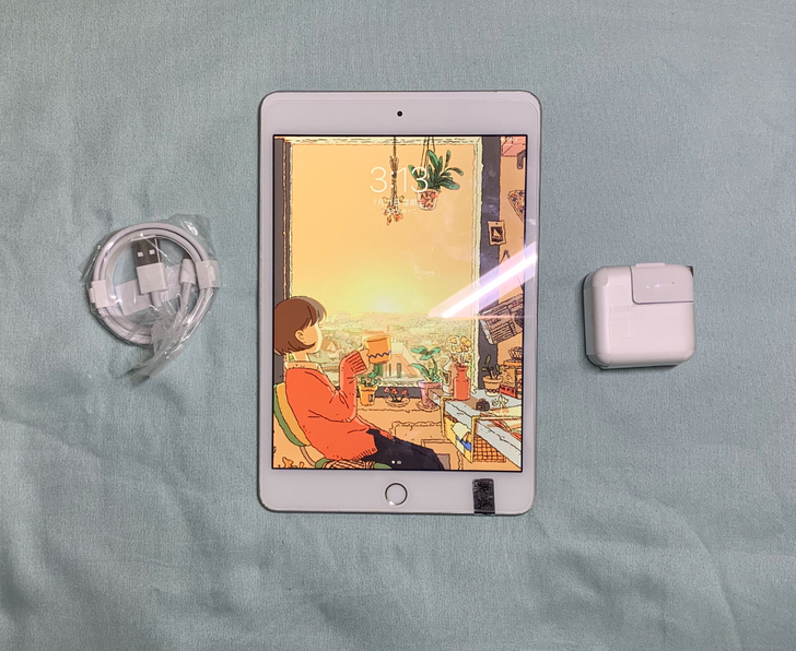 平板电脑iPad mini5 256g  ...