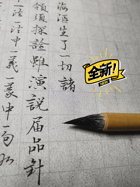兰亭兼毫古法鸡距毛笔，实体店35一支，深受...